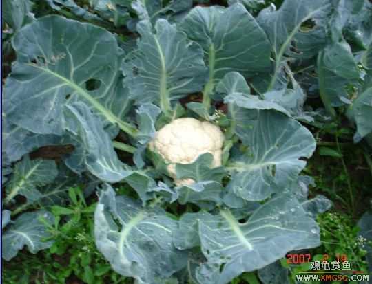 QQ 07 ����������