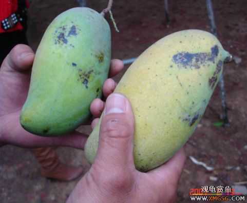 QQ 07 ����������