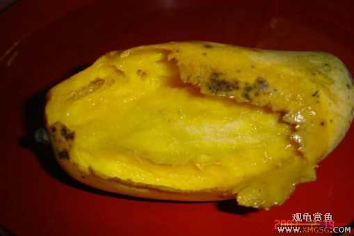 QQ 07 ����������