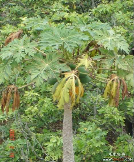 QQ 07 ����������