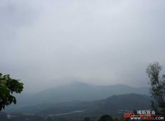 QQ 07 ����������