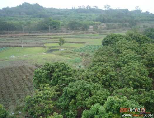 QQ 07 ����������