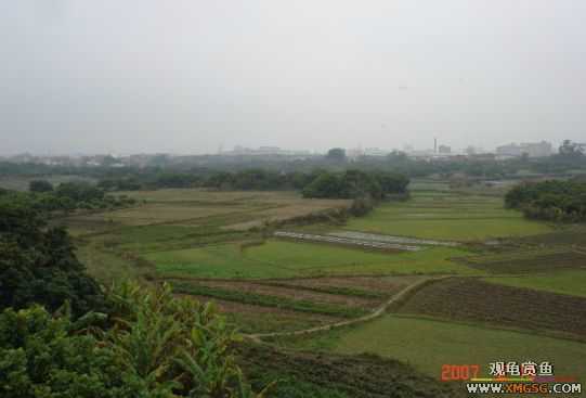 QQ 07 ����������