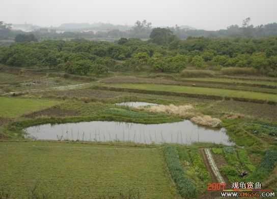 QQ 07 ����������