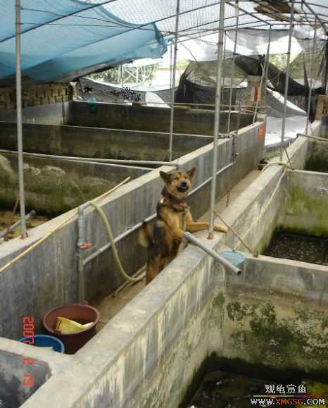 QQ 07 ����������