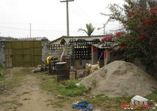 QQ 07 ����������