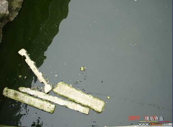 QQ 07 ����������