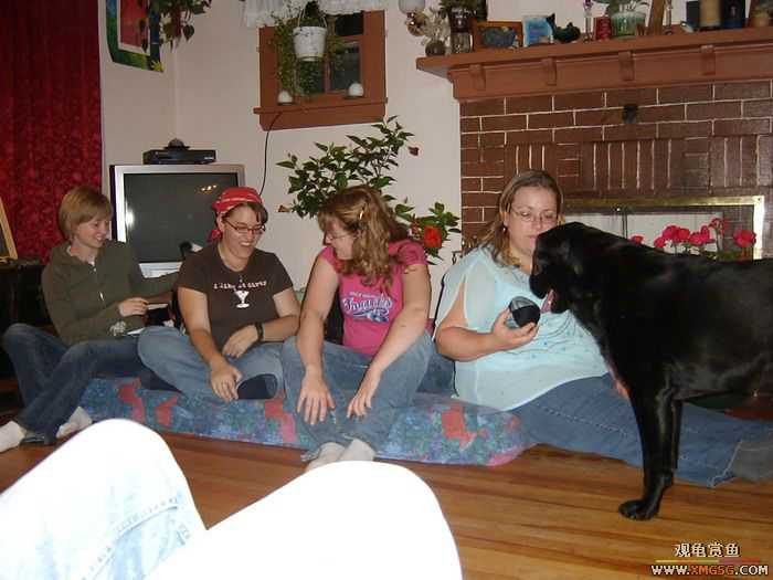 ������ѧ����������