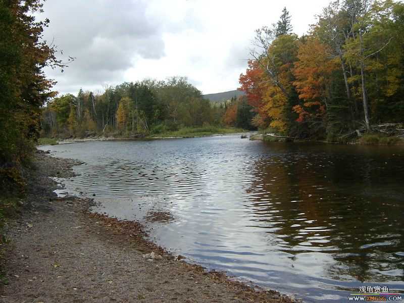 ������ѧ����������