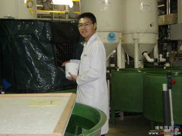 ������ѧ����������