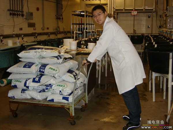 ������ѧ����������