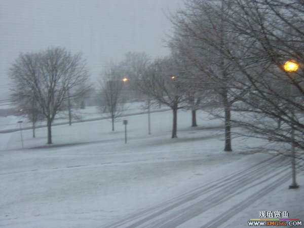 ������ѧ����������