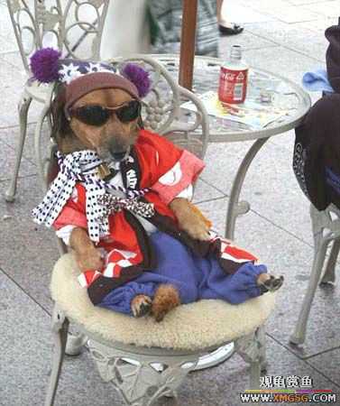 [��ͼ]���ܲ���