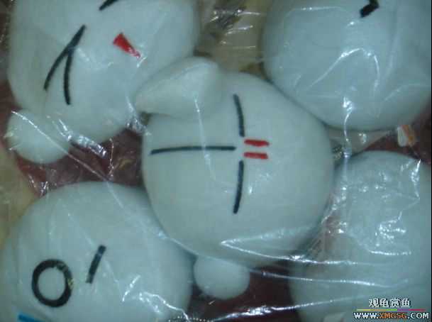 [ԭ��]�������~~~~~~~