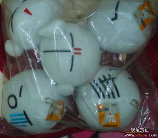 [ԭ��]�������~~~~~~~