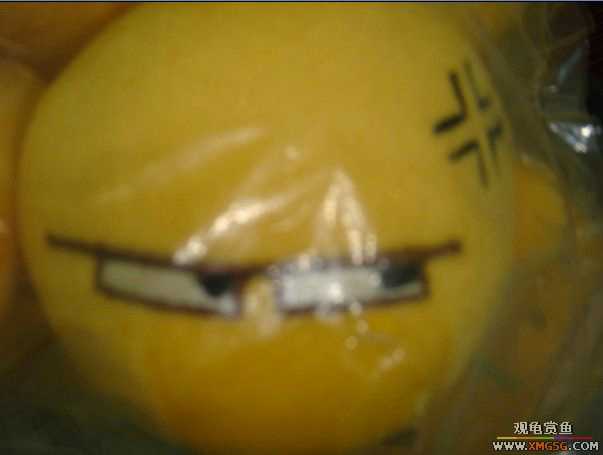 [ԭ��]�������~~~~~~~