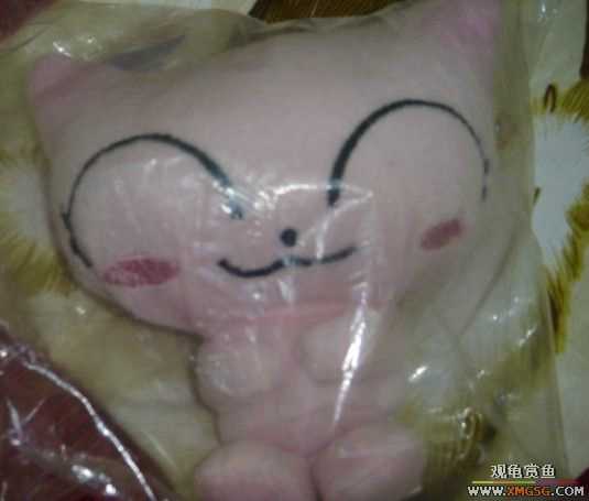 [ԭ��]�������~~~~~~~