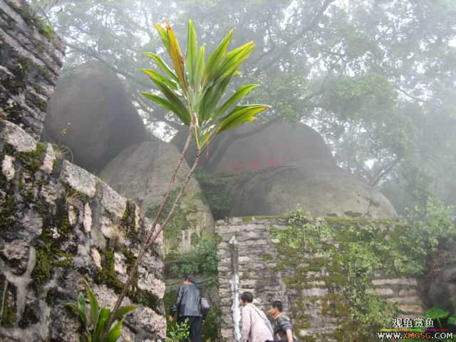 ��һ����������ɽ��������