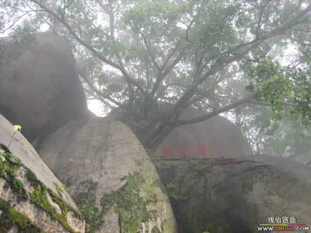 ��һ����������ɽ��������