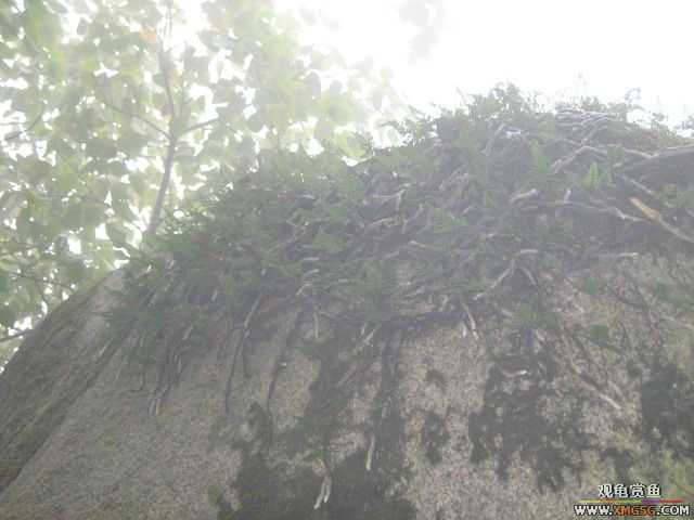 ��һ����������ɽ��������