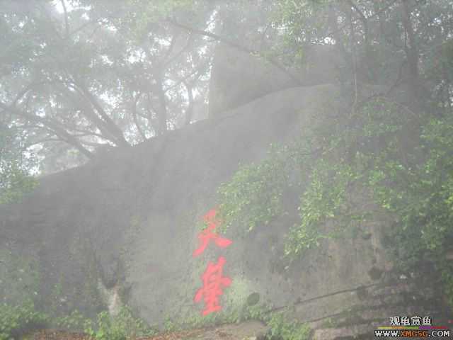 ��һ����������ɽ��������