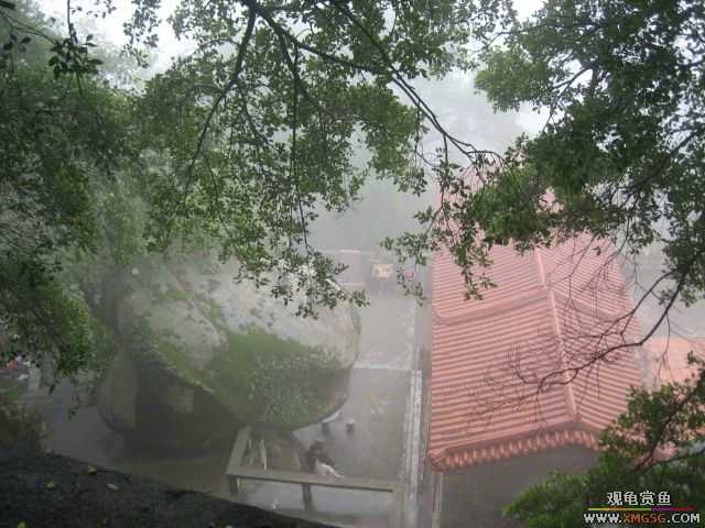 ��һ����������ɽ��������