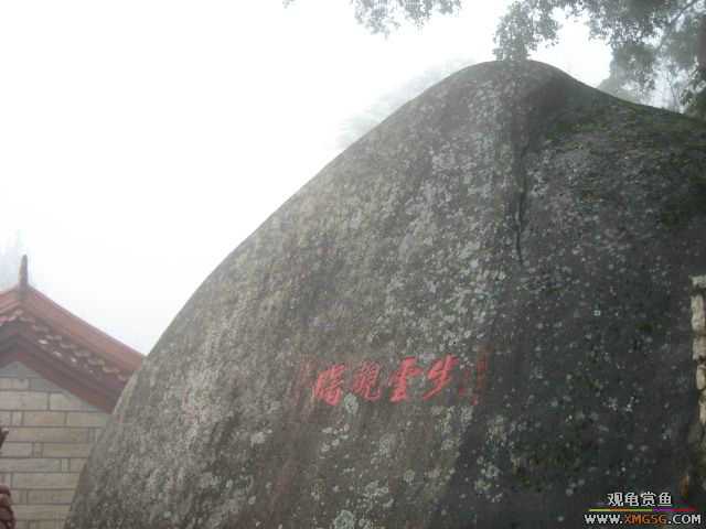 ��һ����������ɽ��������