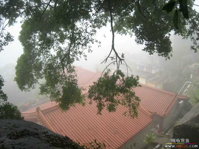 ��һ����������ɽ��������