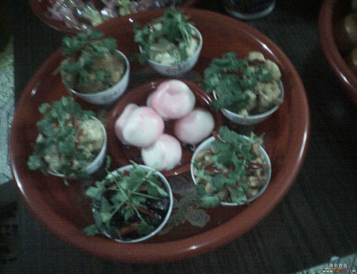 MM�����ݰݵĶ���