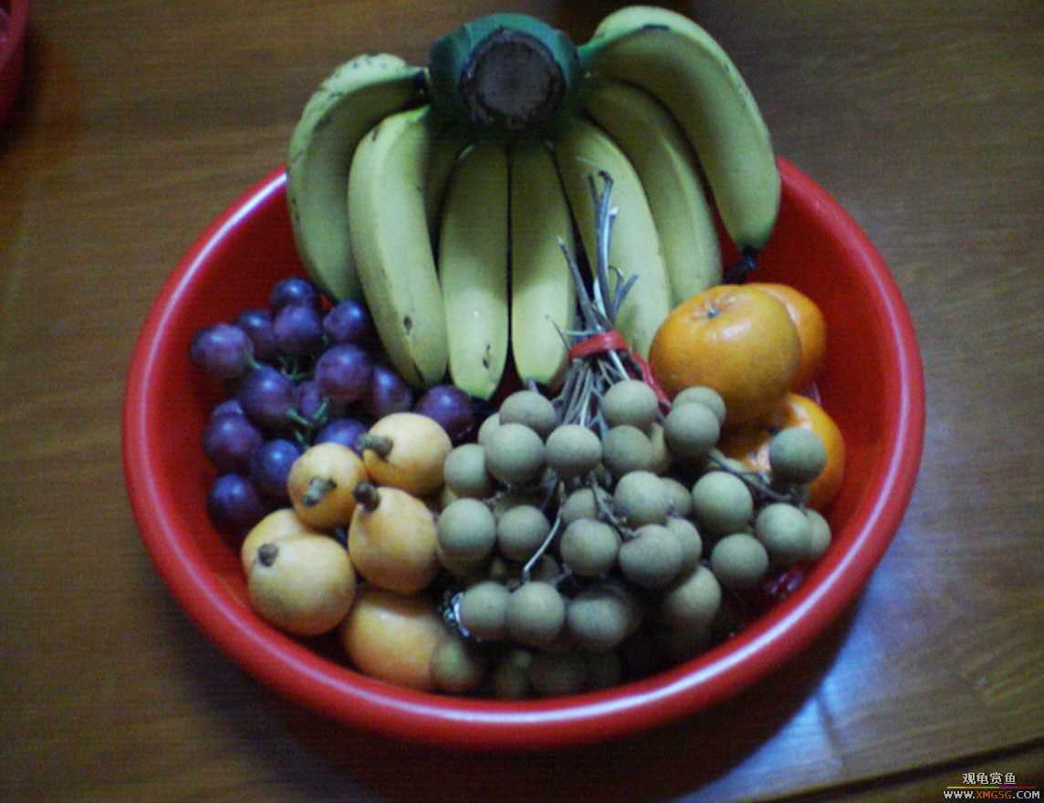 MM�����ݰݵĶ���