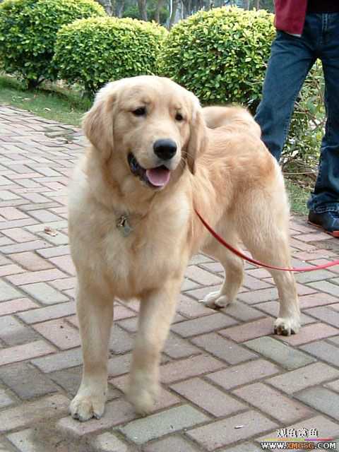 2007-02-20���� ֮���Ѿۻ�