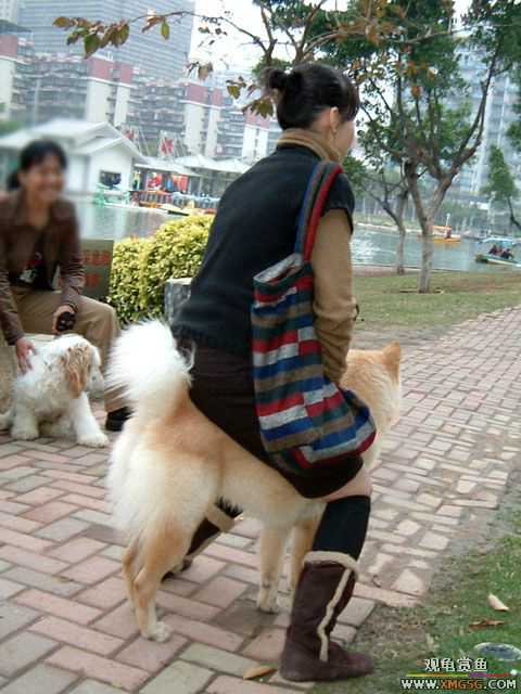 2007-02-20���� ֮���Ѿۻ�