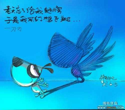 [�Ƽ�]ϲ���ĵ���