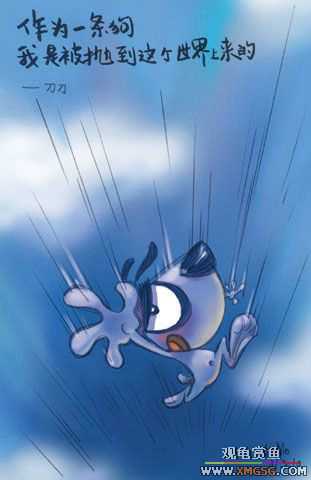 [�Ƽ�]ϲ���ĵ���