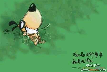 [�Ƽ�]ϲ���ĵ���