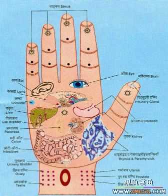 [�Ƽ�]��Ħ��Ѷ