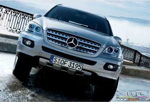 ʮ�������ԽҰ������