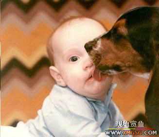 ���к�������ȫ����