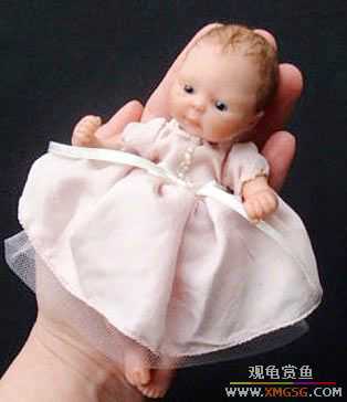 [��ͼ]��������ĳ��ɰ�����