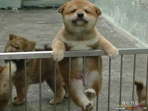 18�����¡������������ֹ��裨��ȫ�߹⣩