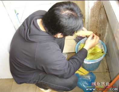 07.02.04��̳�����տ���