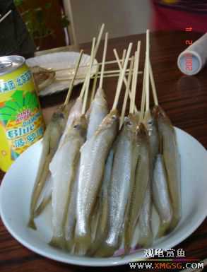 07.02.04��̳�����տ���