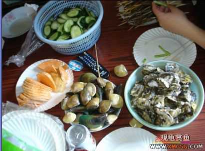 07.02.04��̳�����տ���