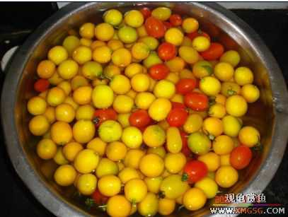 07.02.04��̳�����տ���