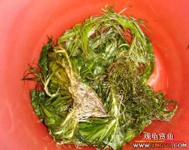 07.02.04��̳�����տ���