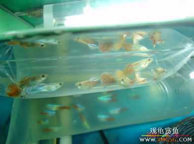 07.02.04��̳�����տ���