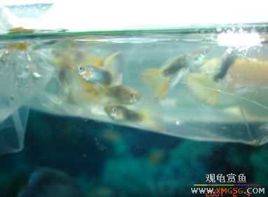 07.02.04��̳�����տ���