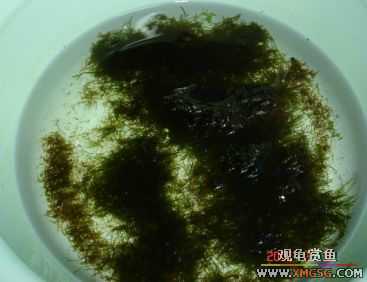 07.02.04��̳�����տ���