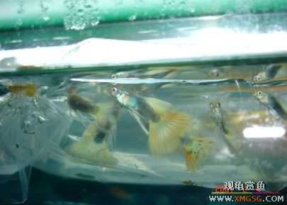 07.02.04��̳�����տ���