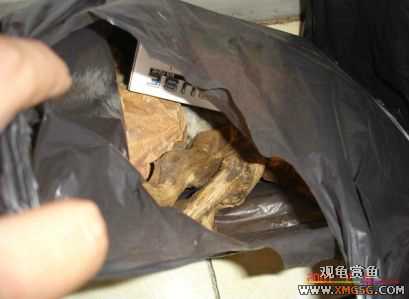 07.02.04��̳�����տ���